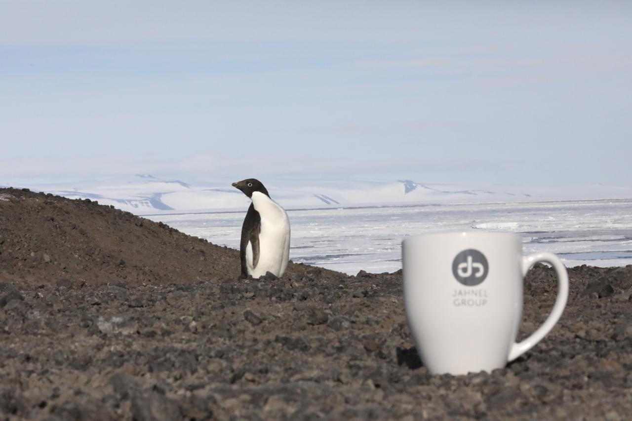 JG mug in Antarctica with a penguin